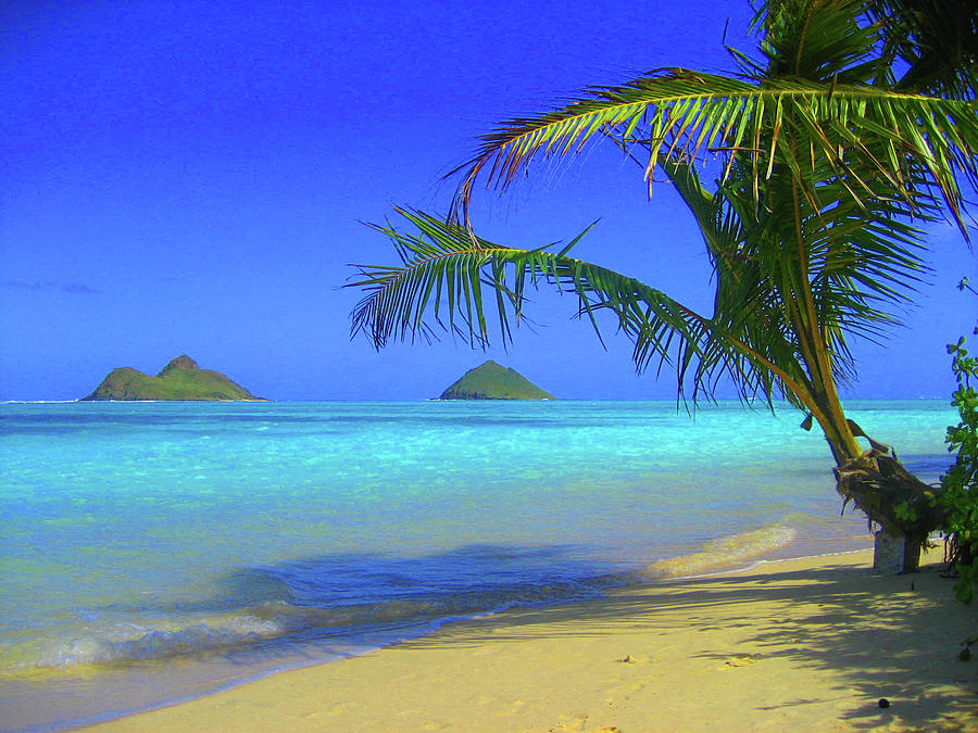 Lanikai Beach